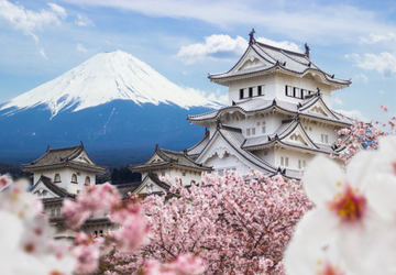 6 Top Tips for Planning a Trip to Japan