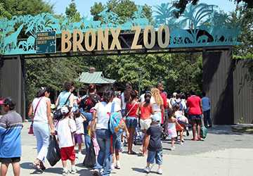 7 Best Zoos in New York City for a Fun Day Trip with the Family